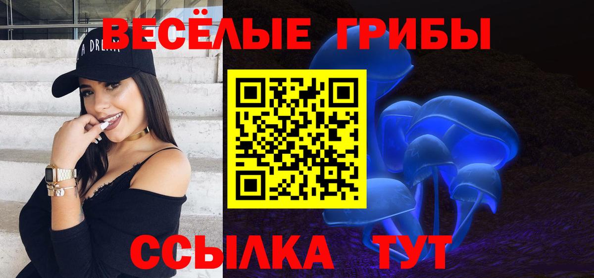 Галлюциногенные грибы Psilocybe Глазов